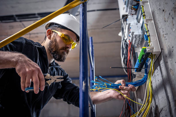 Best Residential Electrician Services  in Long Grove, IA