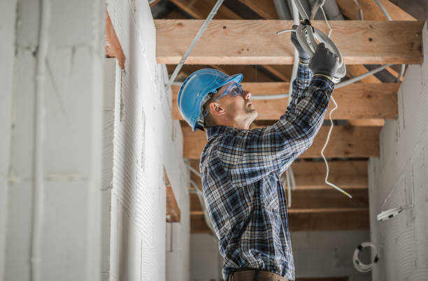 Best Local Electrician Companies  in Long Grove, IA