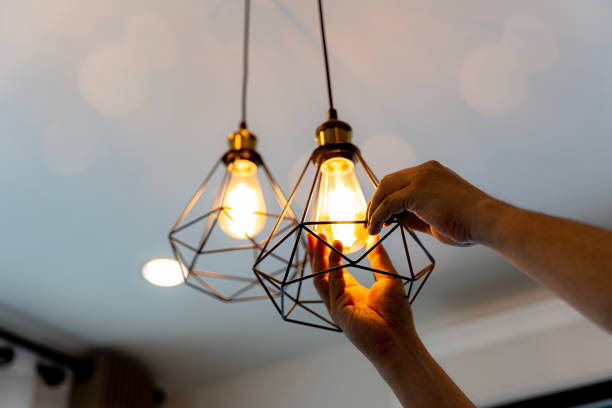 Best Electrical System Inspection  in Long Grove, IA